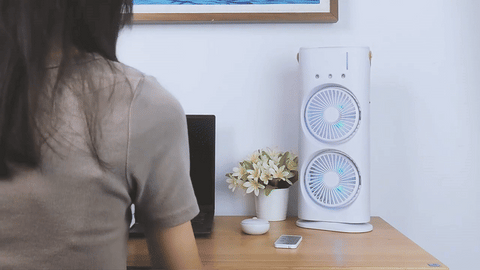 Double Ended Spray Fan